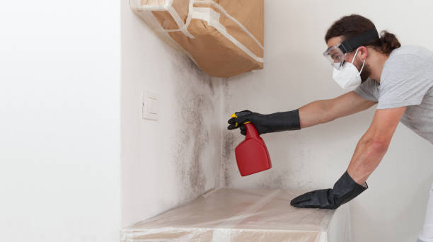 Professional Basement Mold Remediation technician working in Bear Lake, MI